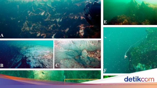 Lubang Biru Raksasa Ditemukan di Laut Meksiko, Isinya Dahsyat